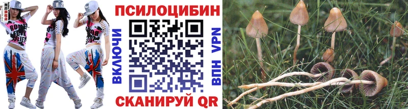 Галлюциногенные грибы MAGIC MUSHROOMS  Аргун 